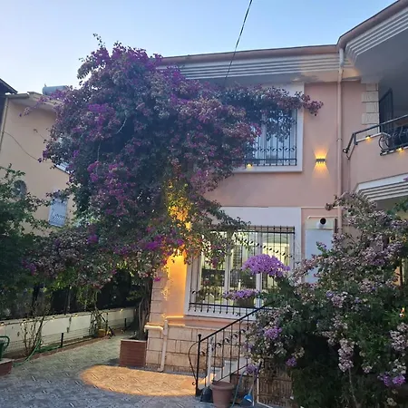 Evim Palace Homestay *